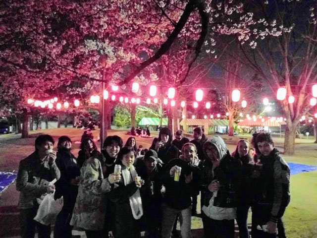 晚間賞櫻花聚會